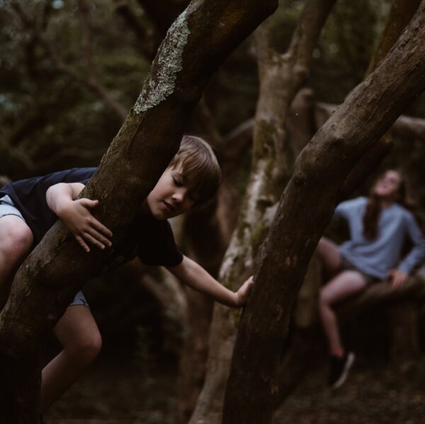 boy climbing up on tree