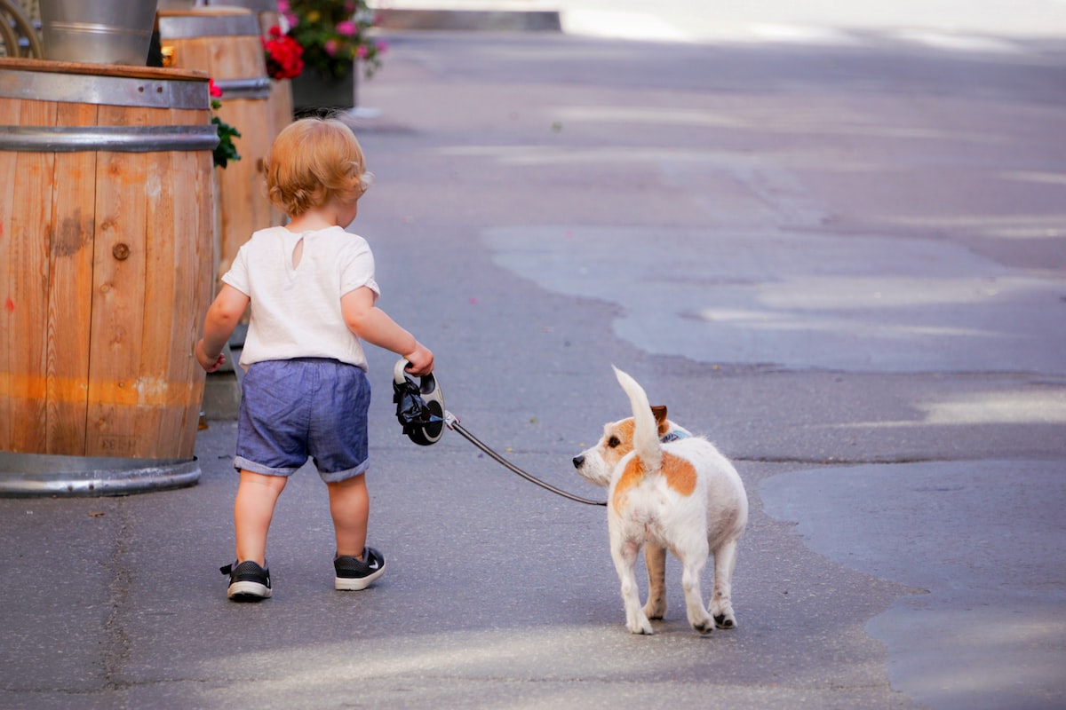 Pieni lapsi ison koiran kanssa yksin kävelyllä – Mikseivät vanhemmat näe vaaraa?